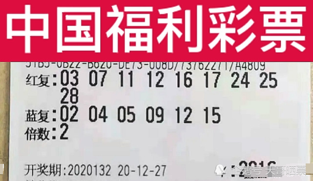 2024新澳门今晚开奖号码和香港,关于澳门与香港彩票开奖号码的探讨——警惕违法犯罪风险