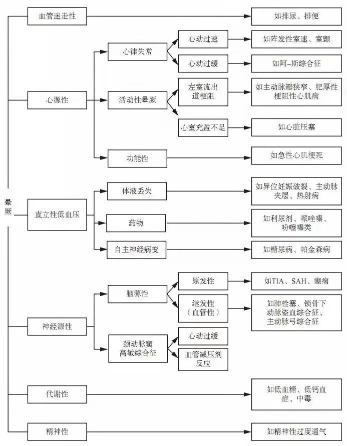 管家婆一码中奖,管家婆一码中奖，揭秘彩票背后的秘密与希望