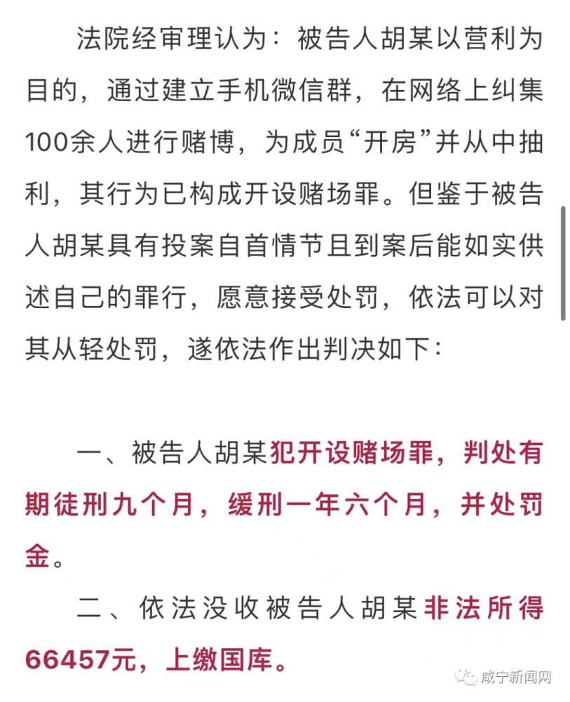 2004澳门天天开好彩大全,澳门天天开好彩背后的故事与警示，一个关于违法犯罪的故事（2004年）