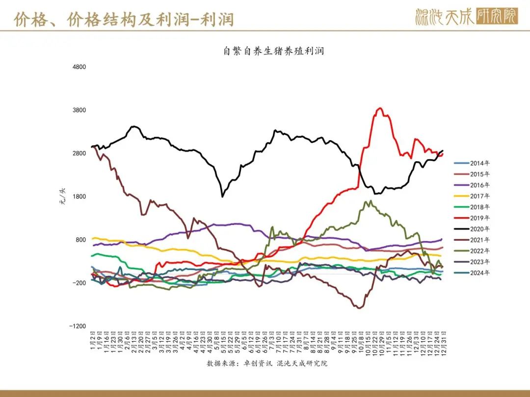 跑狗图2024年今期,跑狗图2024年今期——探索未来赛场的无限可能