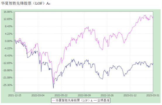 2023年澳门特马今晚开码,2023年澳门特马今晚开码——期待与揭秘